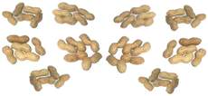 Erdnüsse-10x5.jpg